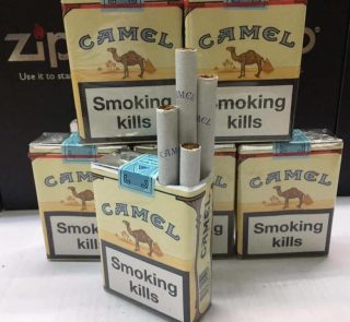 camel không đầu lọc