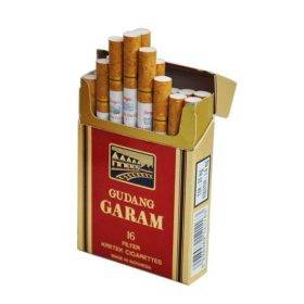 gudang garam
